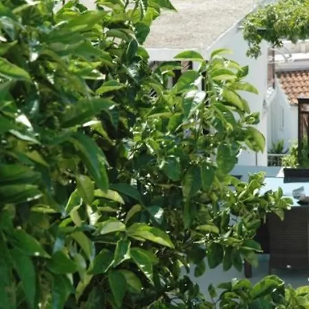 Babo Apartments Hvar Town Room photo